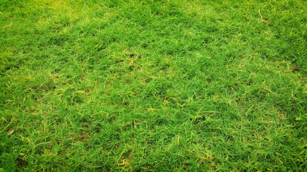 Kunstgras